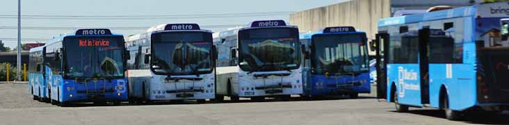 Go Bus 895, 1022, 2205 & 894